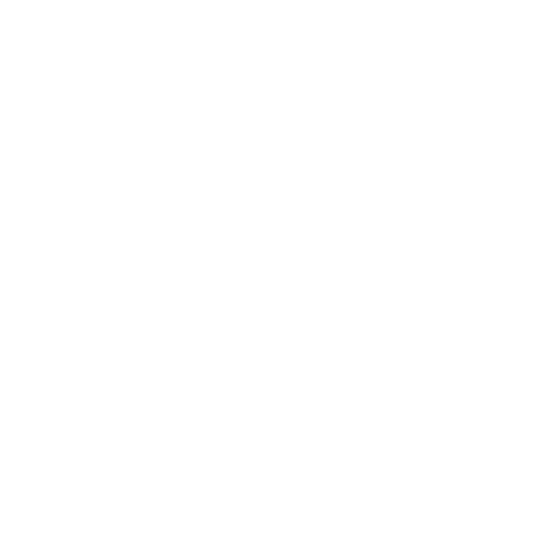 Safwan Bashundhara Global